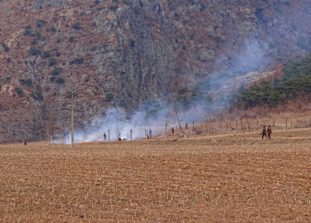 DSC01428SpringBurning.JPG