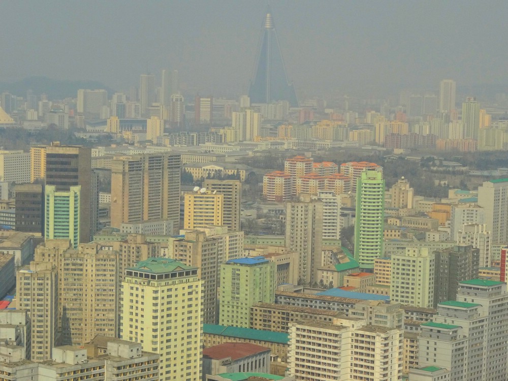 DSC01816GorillaInTheSmog.JPG