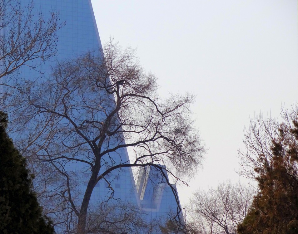 DSC01926PyramidAndTree.JPG