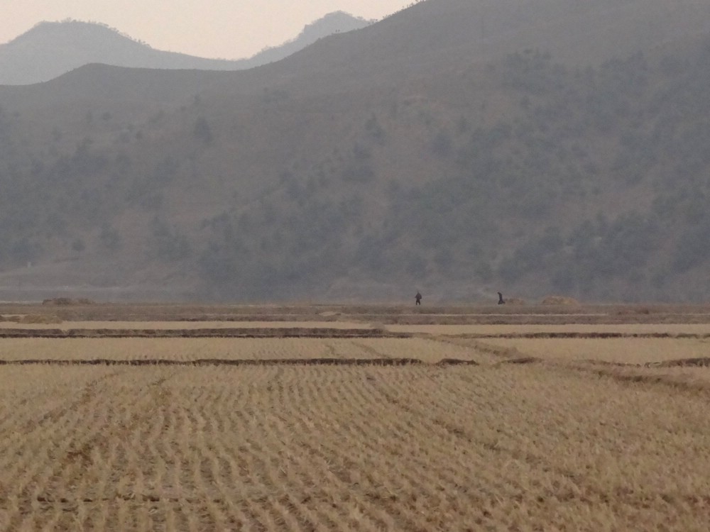 DSC02442PeopleWalking.JPG