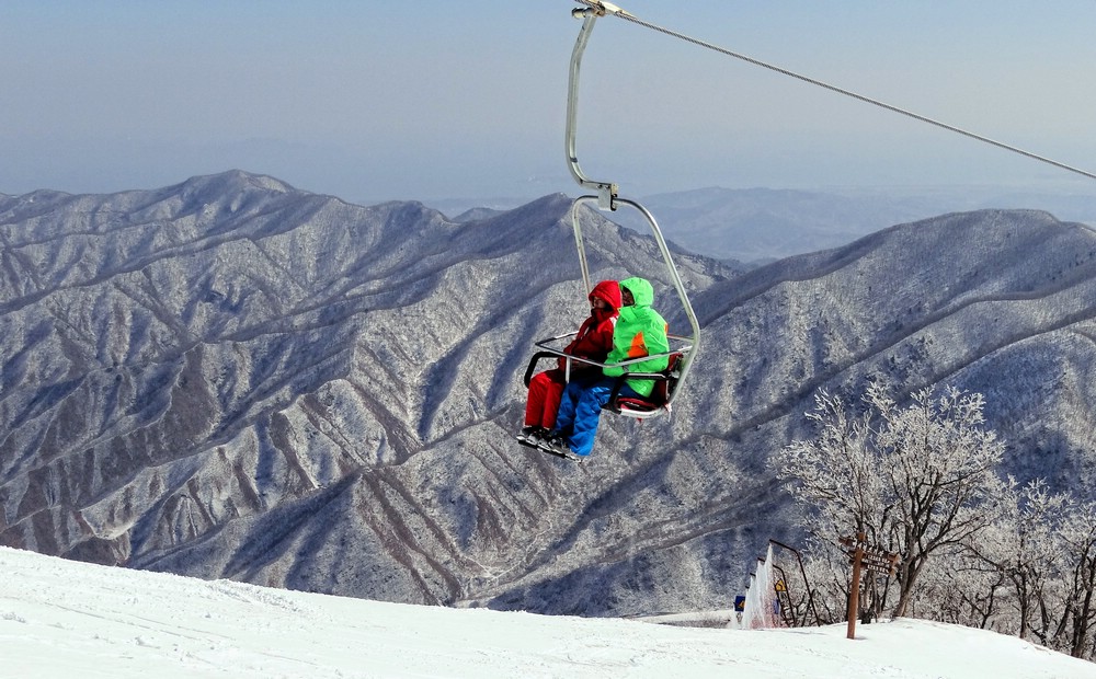 DSC03252HangingInThere.JPG