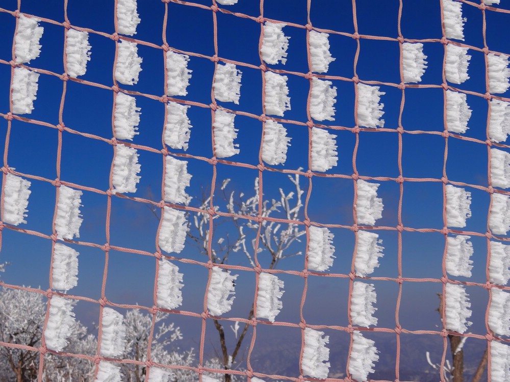 DSC03287FrozenPattern.JPG