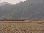DSC02442PeopleWalking.JPG