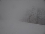 DSC02940SlightlyUnsightly.JPG