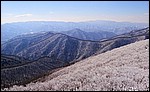 DSC03241ThisRimesWithEight.JPG