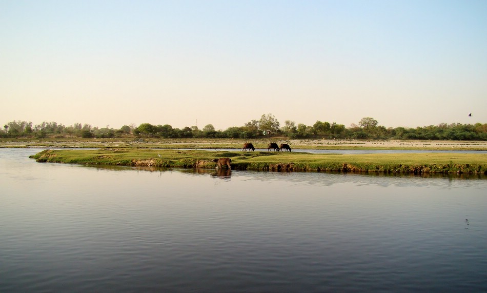 DSC04023AgraFintUtiYamuna.JPG