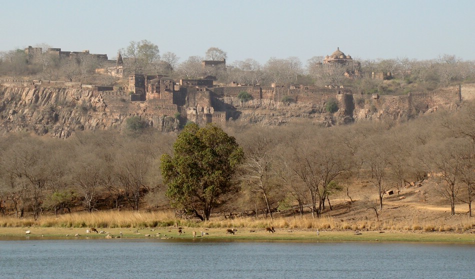 DSC04566RanthamboreEdensk.JPG